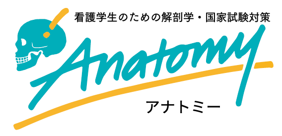 アナトミーのロゴ